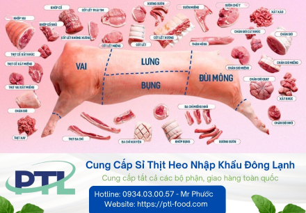 Cung Cấp Sỉ Thịt Heo Nhập Khẩu Đông Lạnh