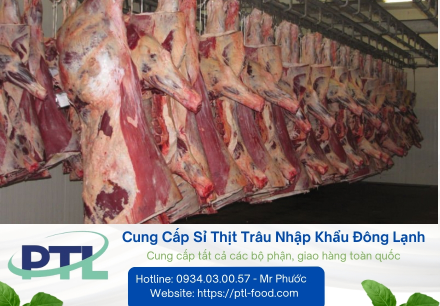 Cung Cấp Sỉ Thịt Trâu Nhập Khẩu Đông Lạnh