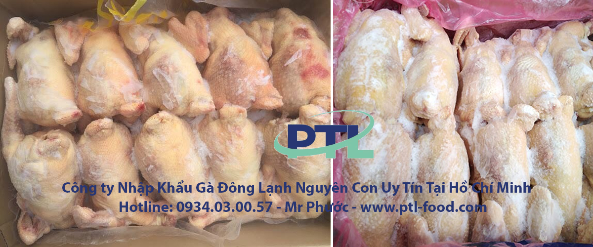 Công ty Nhập Khẩu Gà Đông Lạnh Nguyên Con Uy Tín