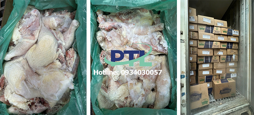 Nhà Cung Cấp Thịt Gà Đông Lạnh Nhập Khẩu Tại TP Hồ Chí Minh
