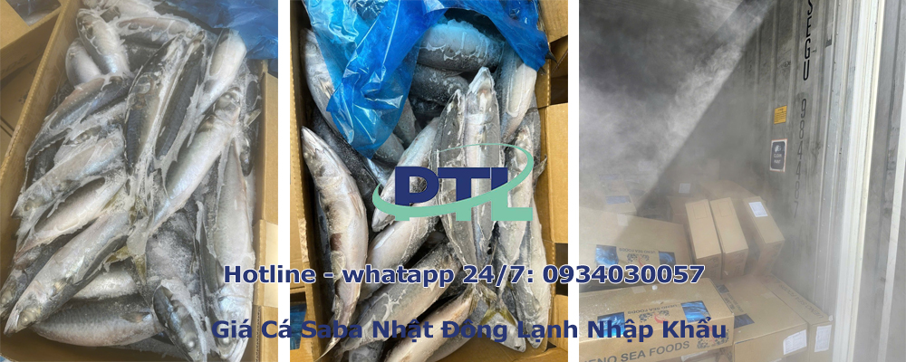 cá saba đông lạnh