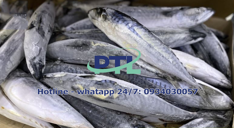 cá đông lạnh nhập khẩu