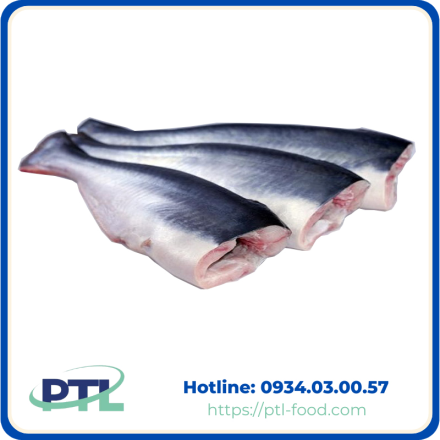 Cá Basa Đông Lạnh Nhập Khẩu