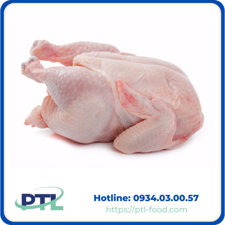 Thịt Gà Nhập Khẩu Nguyên Con